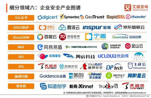 2021上半年中國(guó)企業(yè)服務(wù)專題研究報(bào)告 企業(yè)管理信息咨詢服務(wù)的現(xiàn)狀與展望